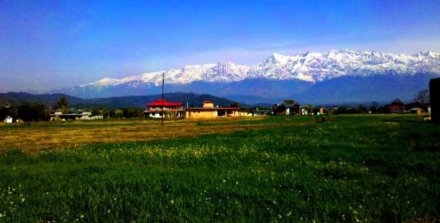 Palampur Valley View