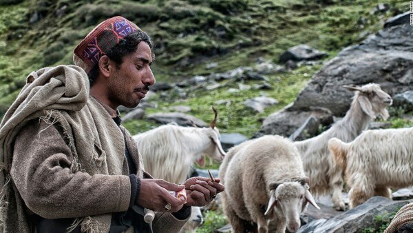 Shepherd Smoking Bidi