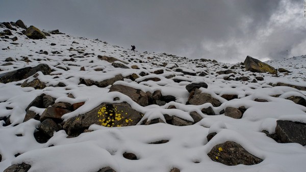 Snow Covered Bara Bhangal